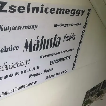 公寓 Majusfa Apartman 巴拉顿扎佐